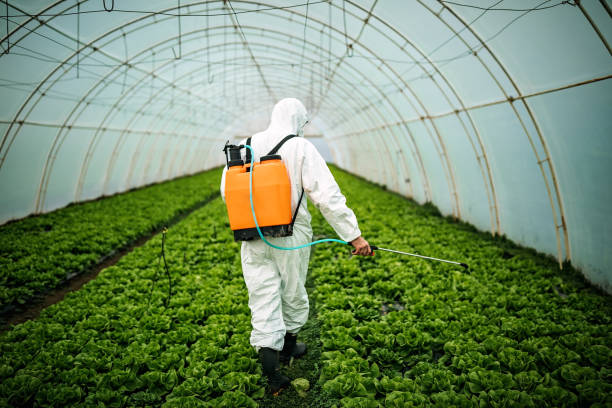 Best Residential Pest Control  in Cranford, NJ