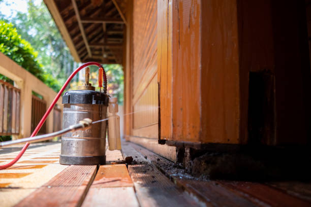 Best Exterminator Services  in Cranford, NJ