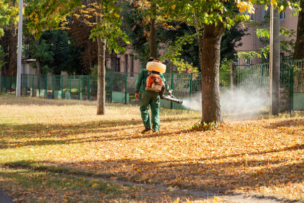 Best Cockroach Control Services  in Cranford, NJ