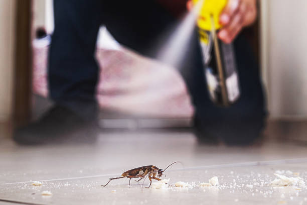 Best Commercial Pest Control Services  in Cranford, NJ